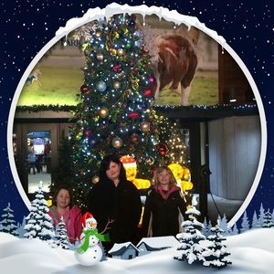 Meet your Posher, Scott